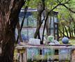 Austin Landscaping Garden Design / Garden Art - Plants & Trees